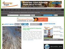 Tablet Screenshot of bioenergy-news.com